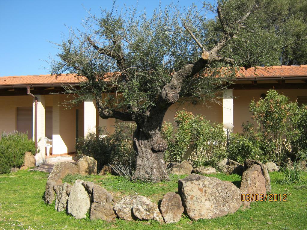 Turismo Rurale Su Cuile Villa Dorgali Exterior photo