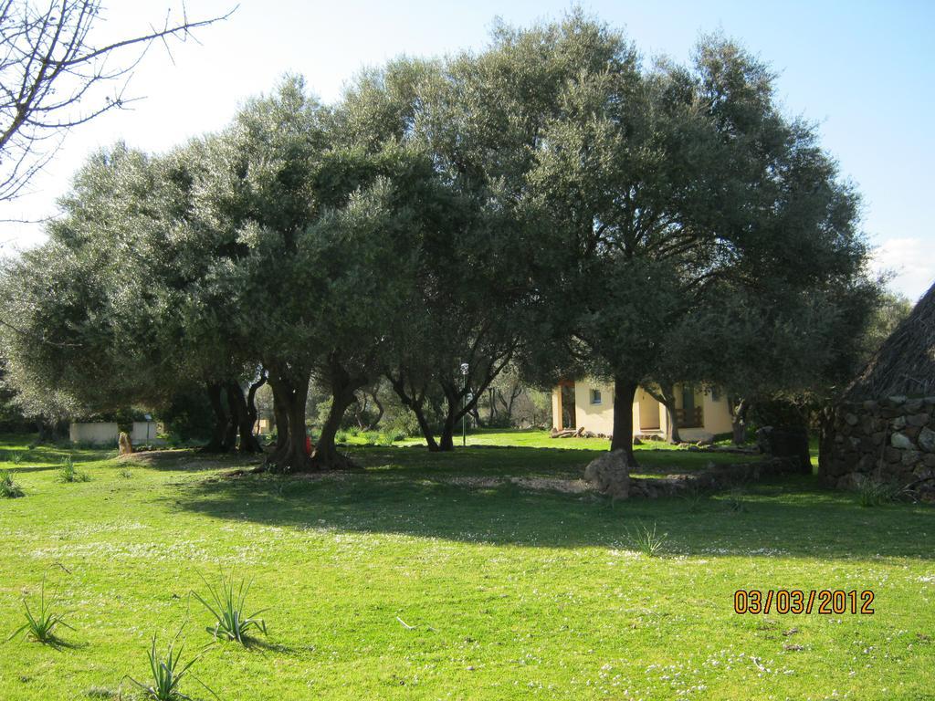 Turismo Rurale Su Cuile Villa Dorgali Exterior photo