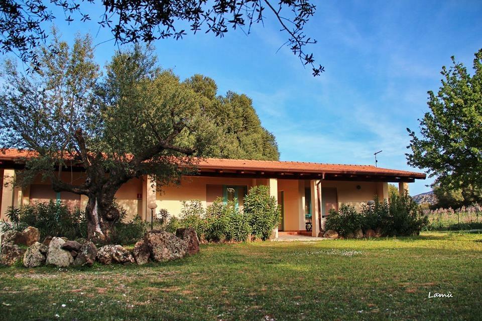 Turismo Rurale Su Cuile Villa Dorgali Exterior photo