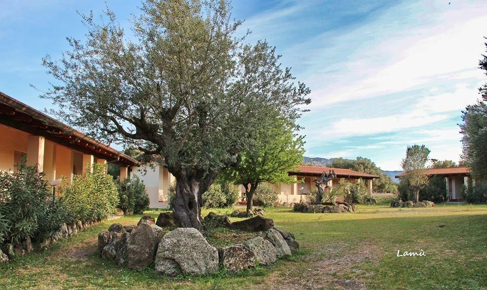 Turismo Rurale Su Cuile Villa Dorgali Exterior photo